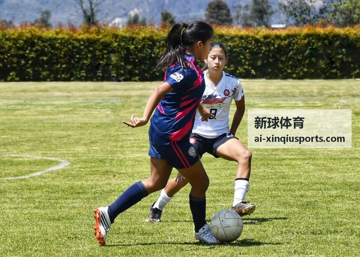 新球体育综合体能训练课程